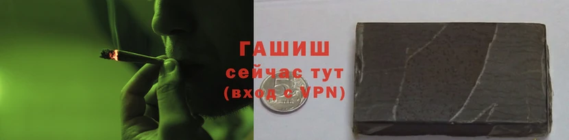 сатива Краснотурьинск