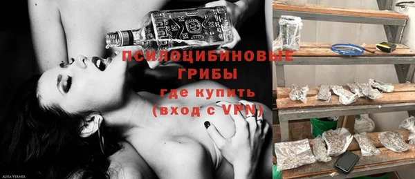 сатива Краснотурьинск